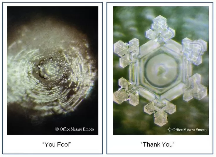 How your words shape your reality : The Fascinating Water Crystal Experiments